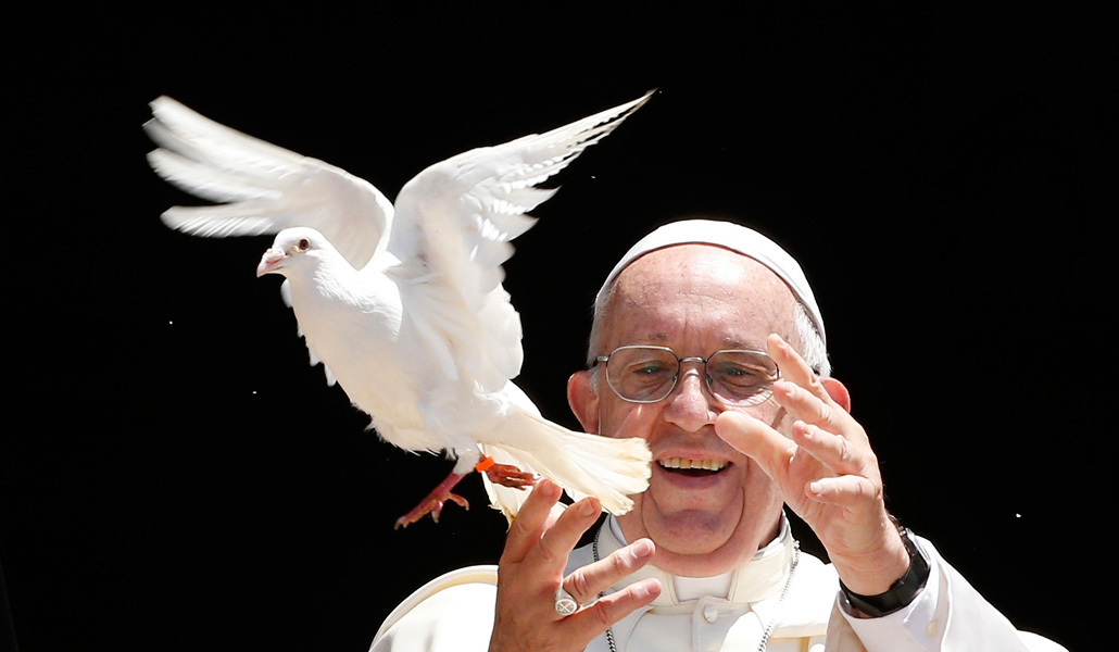 ¿Cómo se construye la paz según el papa Francisco?